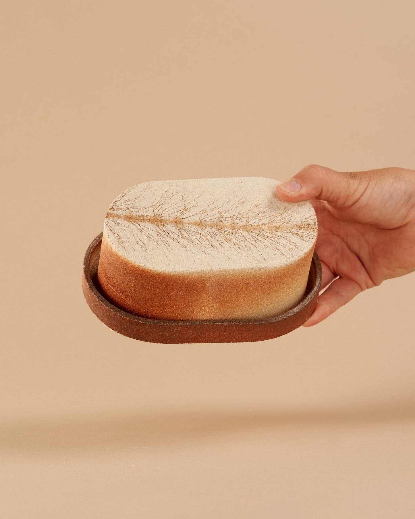 Butter dish / Horsetail Imprint