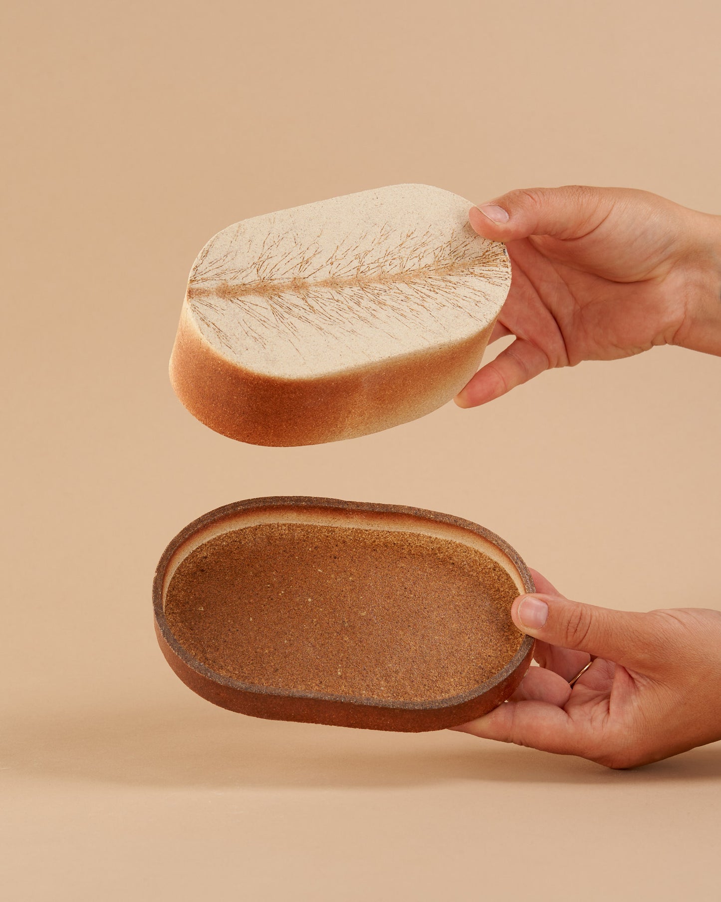 Butter dish / Horsetail Imprint